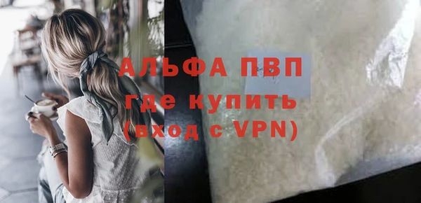 крисы Богородицк