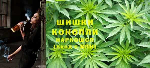 крисы Богородицк