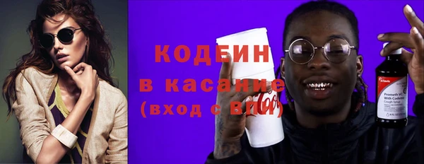 крисы Богородицк