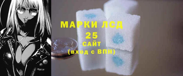 крисы Богородицк
