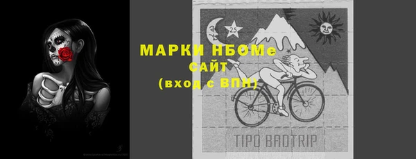 крисы Богородицк