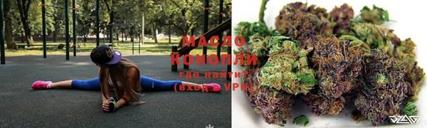 крисы Богородицк