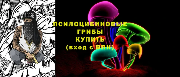 крисы Богородицк
