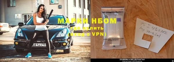 крисы Богородицк
