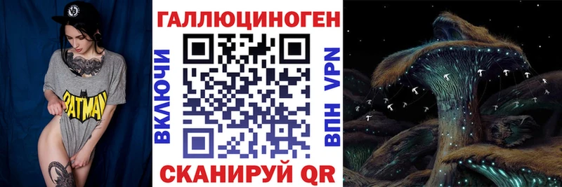 хочу наркоту Дмитровск Галлюциногенные грибы мицелий